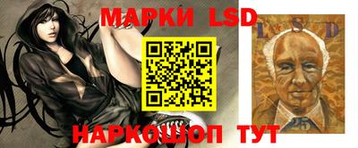 гидра Будённовск