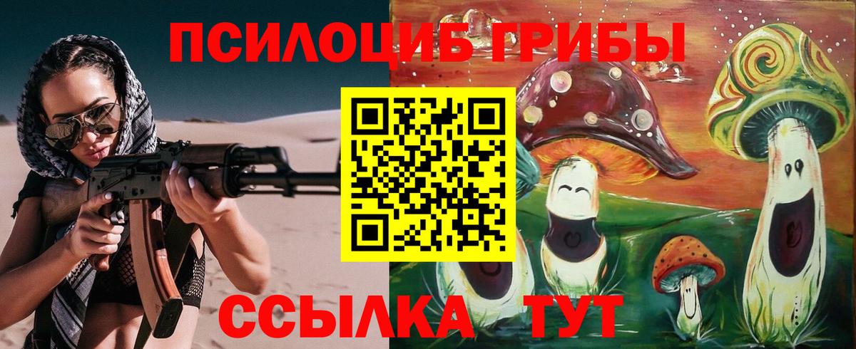 Галлюциногенные грибы Psilocybe Лениногорск