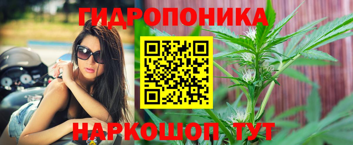 Бошки Шишки Лениногорск