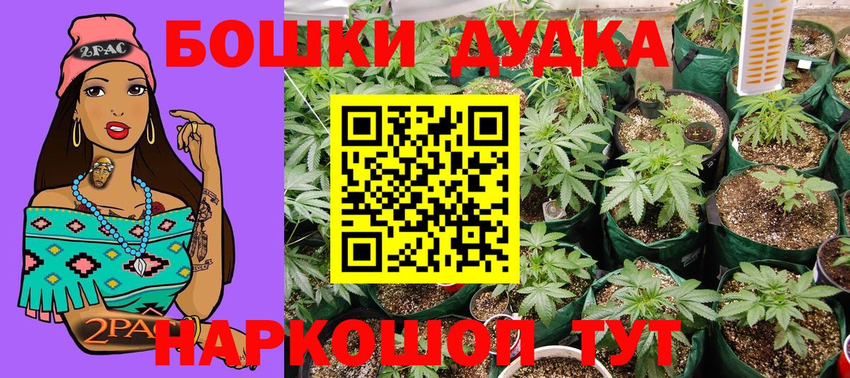 Бошки Шишки SATIVA & INDICA  Вход с VPN  МАРИХУАНА конопля  Лениногорск  Конопля марихуана 
